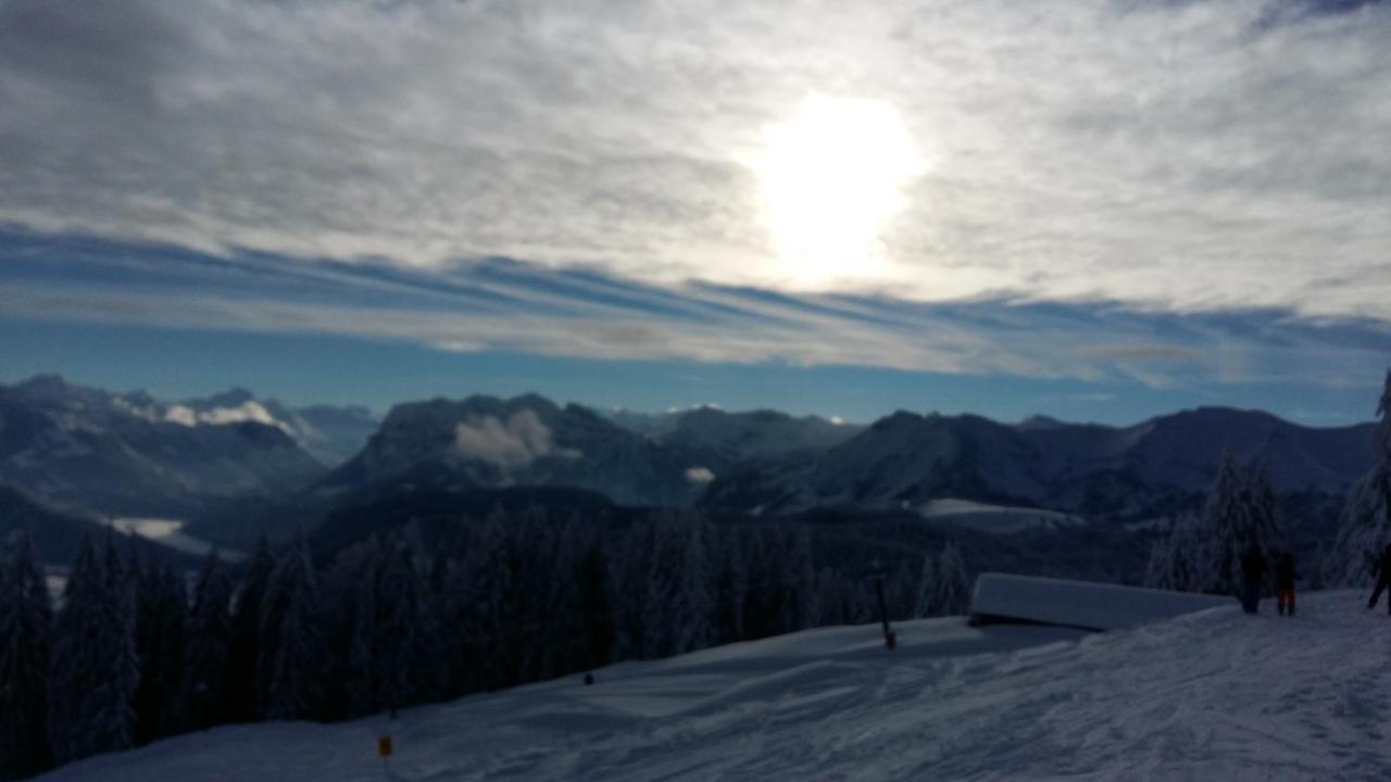 Berghalde *